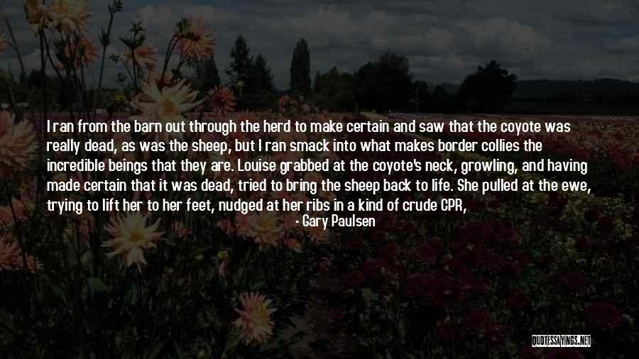 Sheep Herd Quotes By Gary Paulsen Sheep Herd Quotes By Gary Paulsen