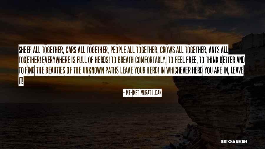 Sheep Herd Quotes By Mehmet Murat Ildan Sheep Herd Quotes By Mehmet Murat Ildan