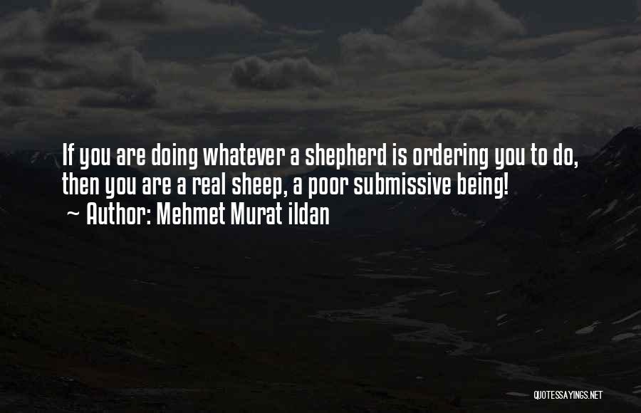 Sheep Mentality Quotes By Mehmet Murat Ildan