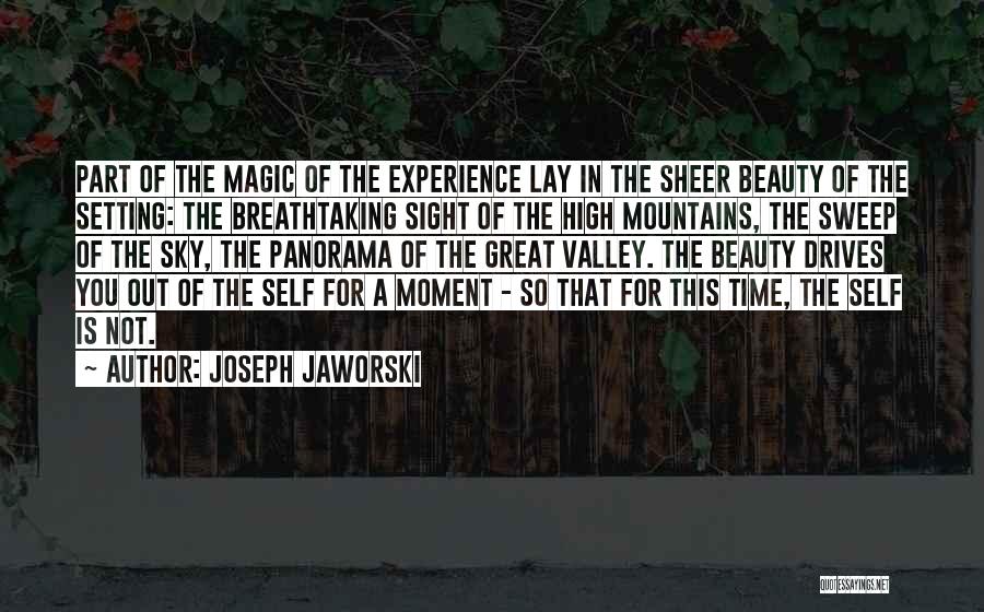 Sheer Beauty Quotes By Joseph Jaworski