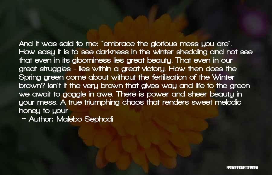 Sheer Beauty Quotes By Malebo Sephodi