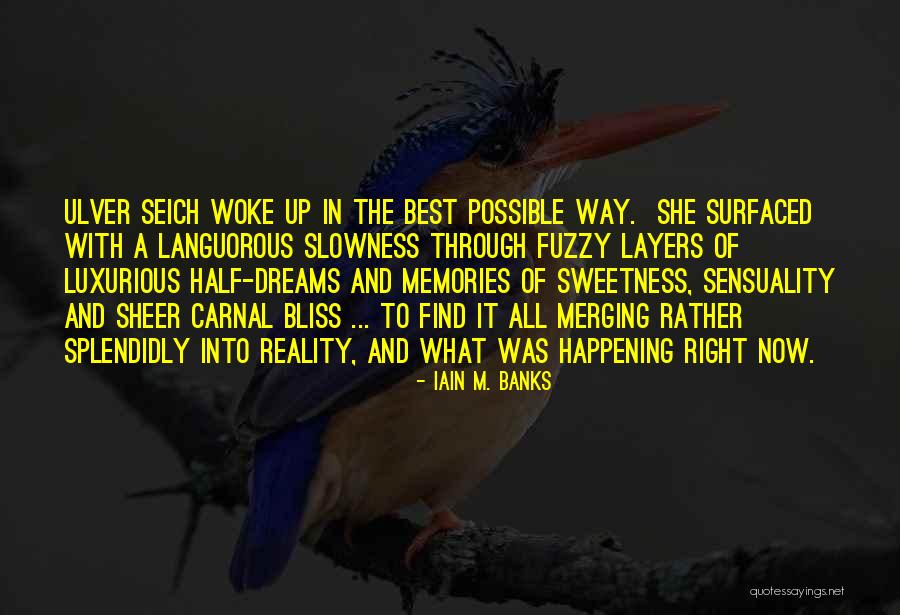 Sheer Bliss Quotes By Iain M. Banks Sheer Bliss Quotes By Iain M. Banks