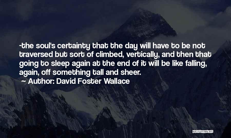 Sheer Will Quotes By David Foster Wallace