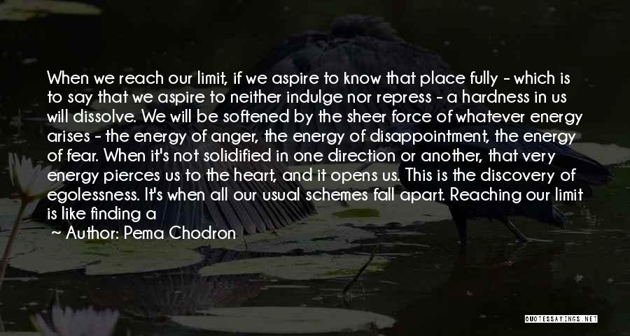 Sheer Will Quotes By Pema Chodron