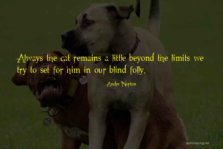 Sheerest Bras Quotes By Andre Norton Sheerest Bras Quotes By Andre Norton