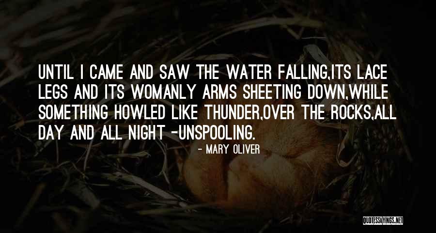 Sheeting Quotes By Mary Oliver Sheeting Quotes By Mary Oliver