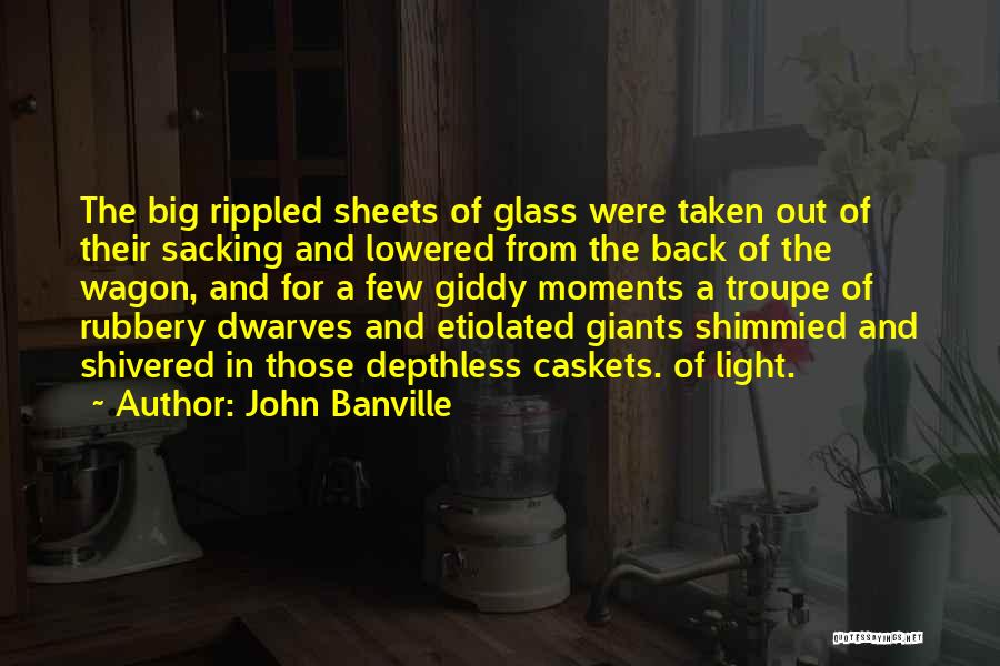 Sheets Quotes By John Banville