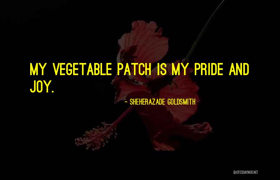 Sheherazade Goldsmith Quotes 821060