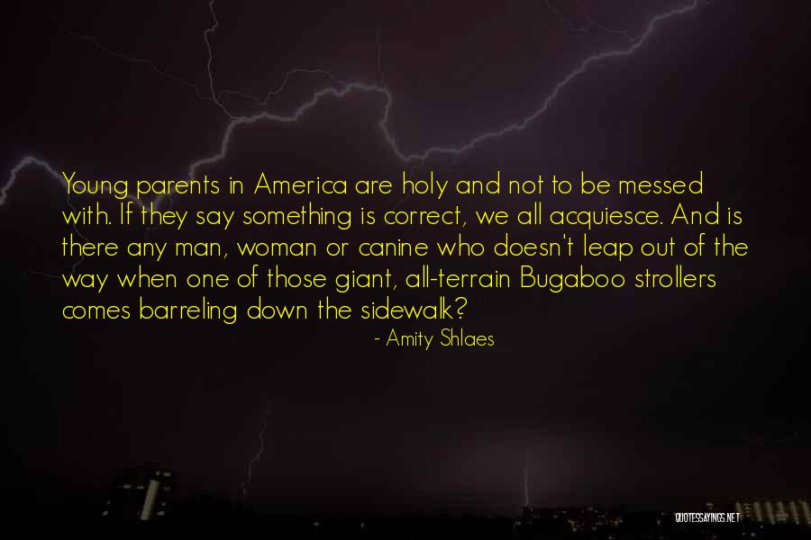 Shehri Or Dehati Quotes By Amity Shlaes Shehri Or Dehati Quotes By Amity Shlaes