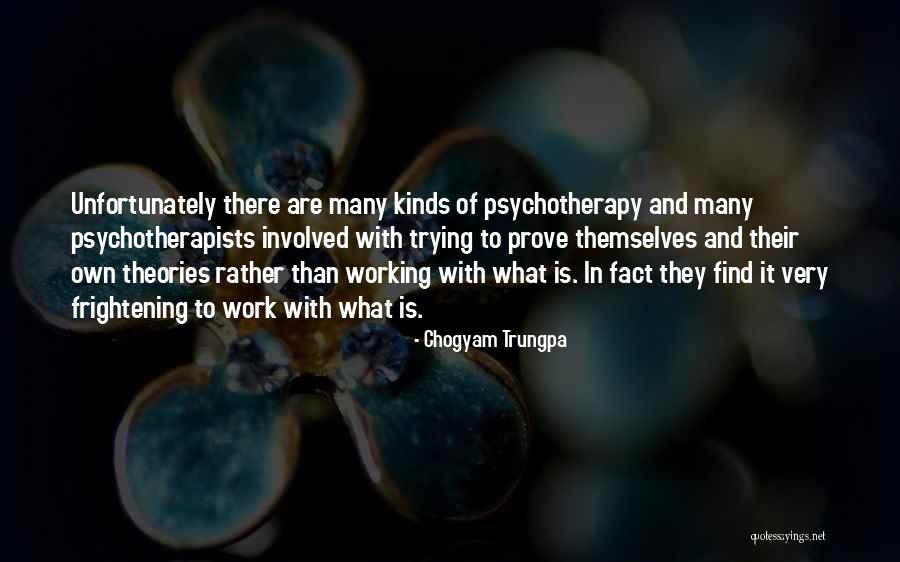 Shehroz And Syra Quotes By Chogyam Trungpa Shehroz And Syra Quotes By Chogyam Trungpa