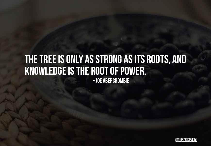 Sheikh Akbar Quotes By Joe Abercrombie