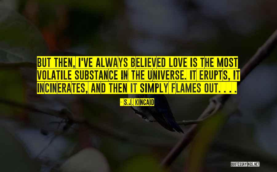 Sheikh Albani Quotes By S.J. Kincaid