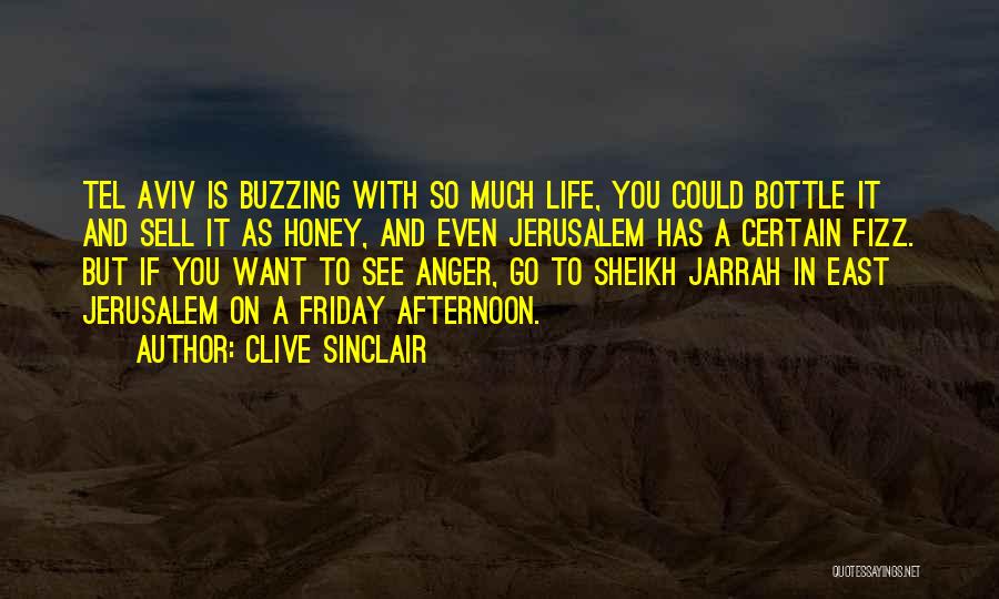 Sheikh Quotes By Clive Sinclair