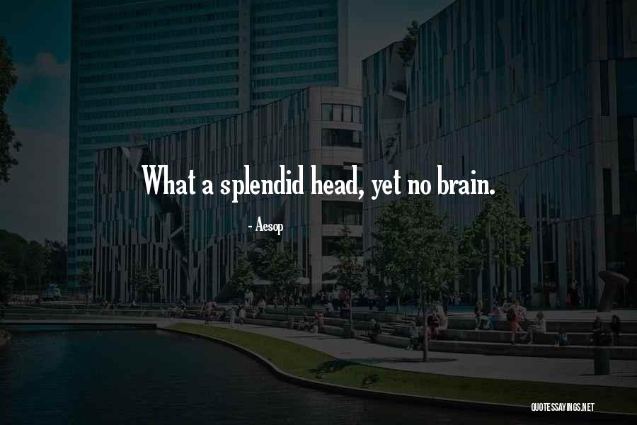 Sheilah Kast Quotes By Aesop Sheilah Kast Quotes By Aesop
