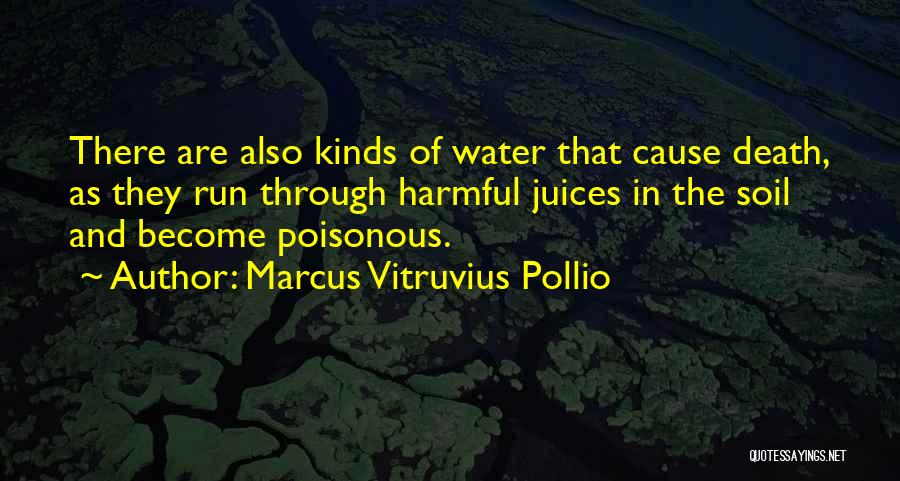 Sheindlin Family Quotes By Marcus Vitruvius Pollio