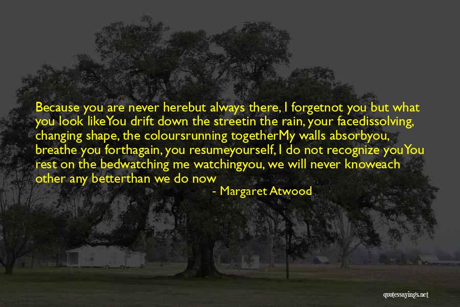 Sheinfeld Hit Quotes By Margaret Atwood Sheinfeld Hit Quotes By Margaret Atwood