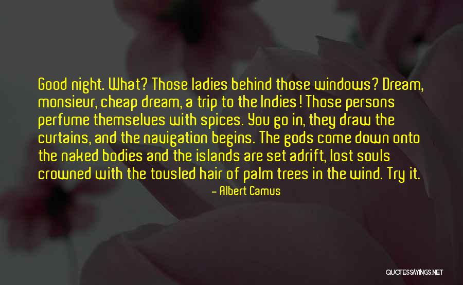 Sheinfeld Wedding Quotes By Albert Camus Sheinfeld Wedding Quotes By Albert Camus