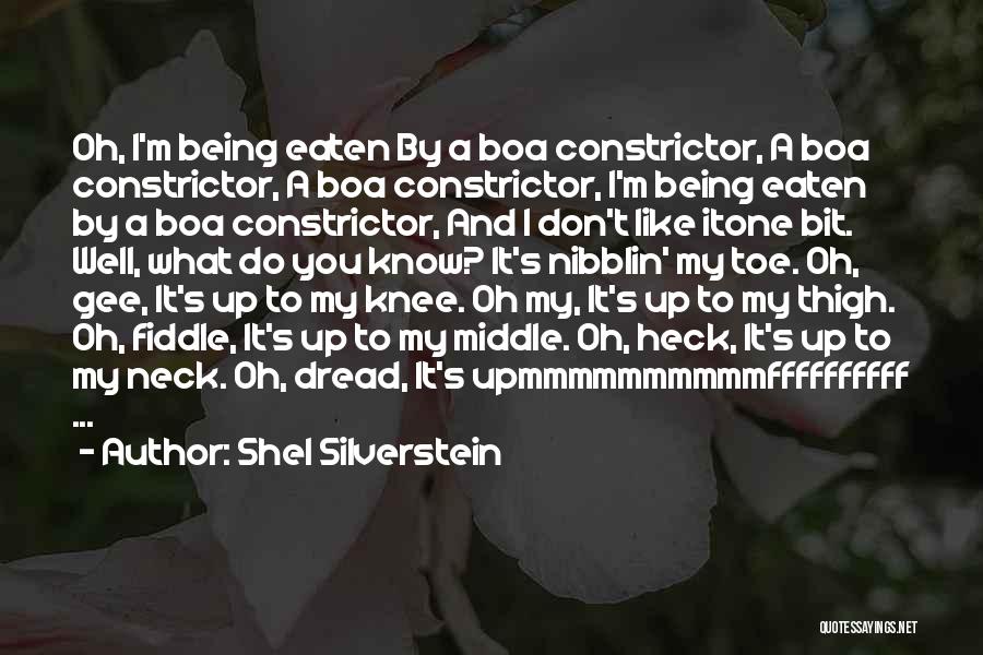 Shel Silverstein Quotes 1570728