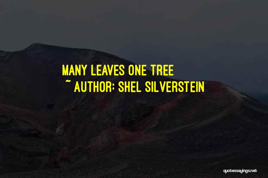 Shel Silverstein Quotes 1862031