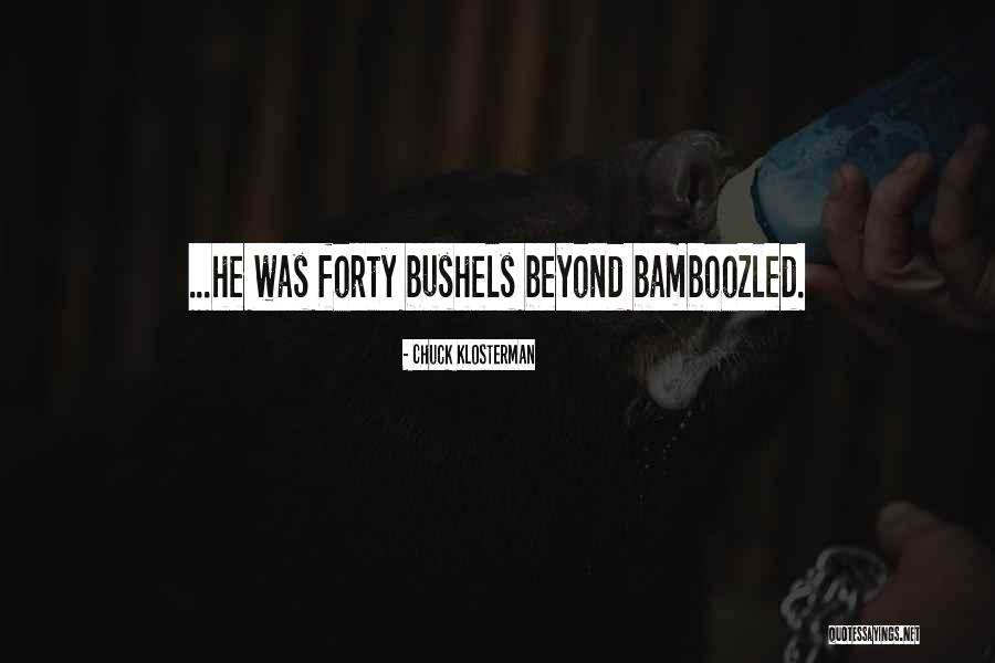 Shelby Campbell Quotes By Chuck Klosterman Shelby Campbell Quotes By Chuck Klosterman