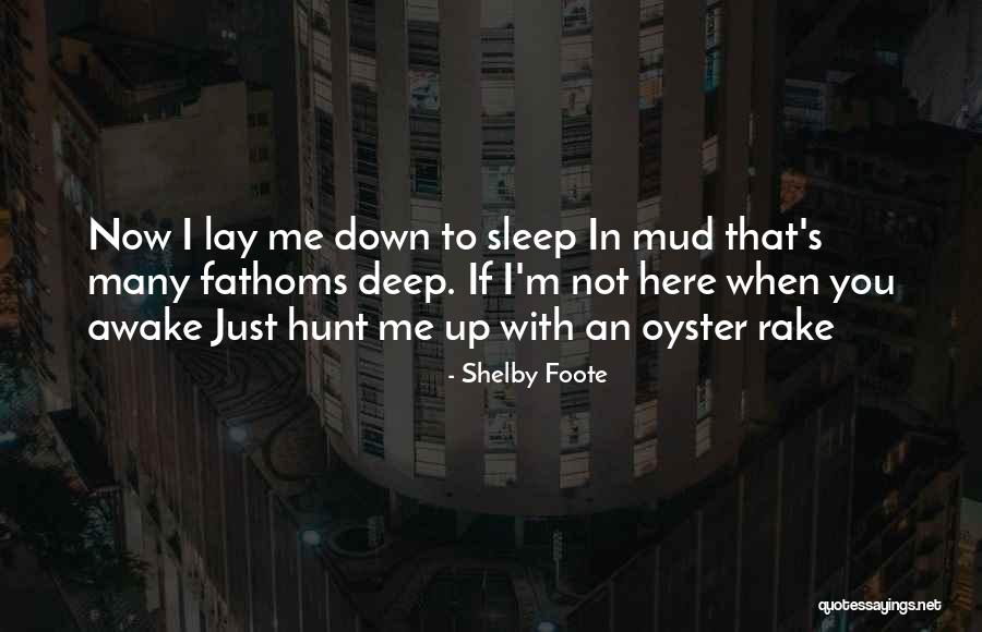 Shelby Foote Quotes 169839 Shelby Foote Quotes 169839