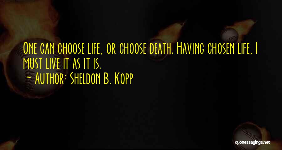 Sheldon B. Kopp Quotes 643616