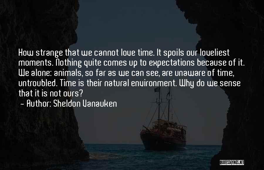 Sheldon Vanauken Quotes 1820234