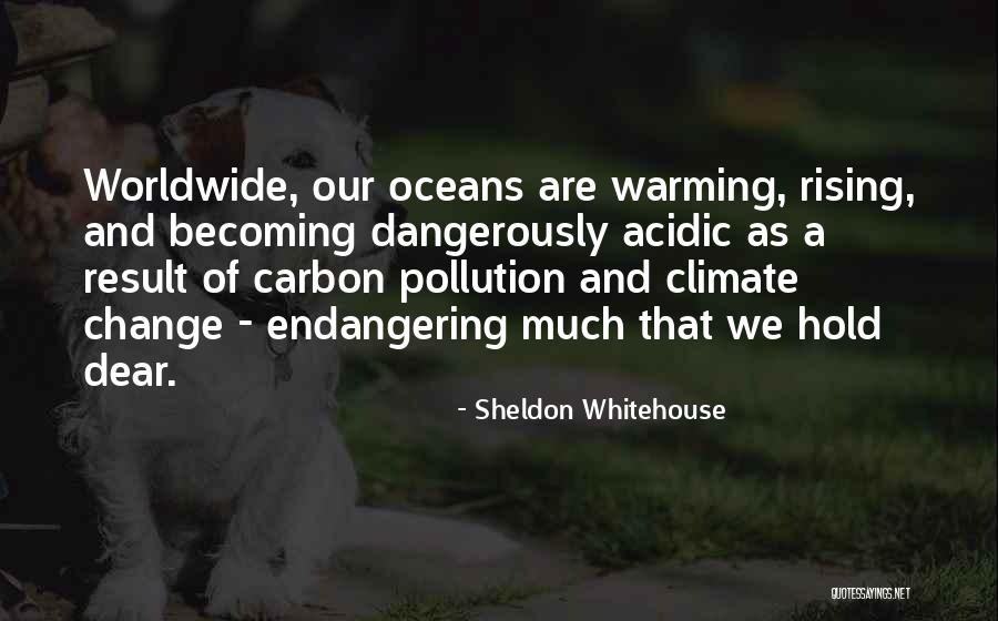 Sheldon Whitehouse Quotes 205899 Sheldon Whitehouse Quotes 205899