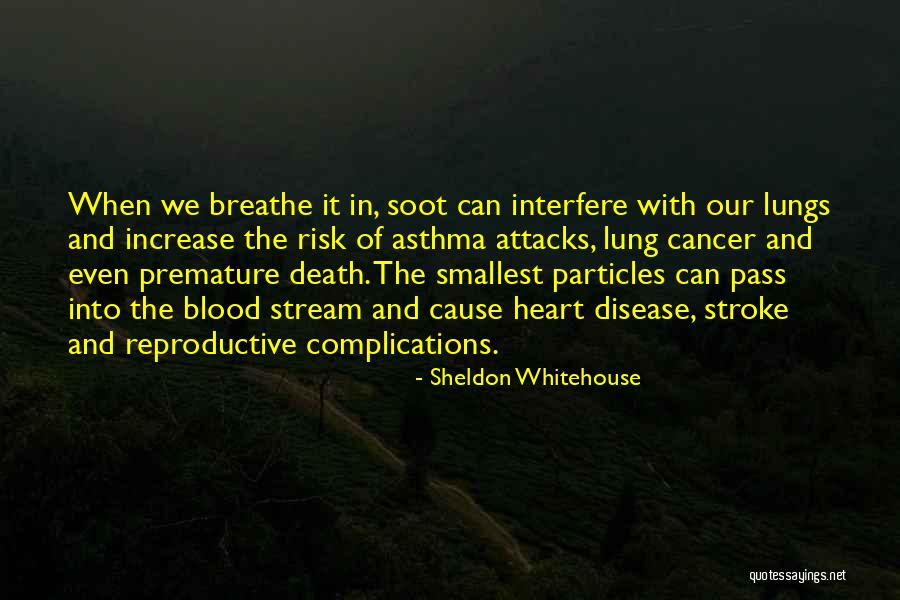 Sheldon Whitehouse Quotes 772046 Sheldon Whitehouse Quotes 772046