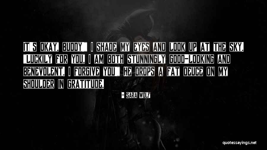 Shelena Morena Quotes By Sara Wolf Shelena Morena Quotes By Sara Wolf