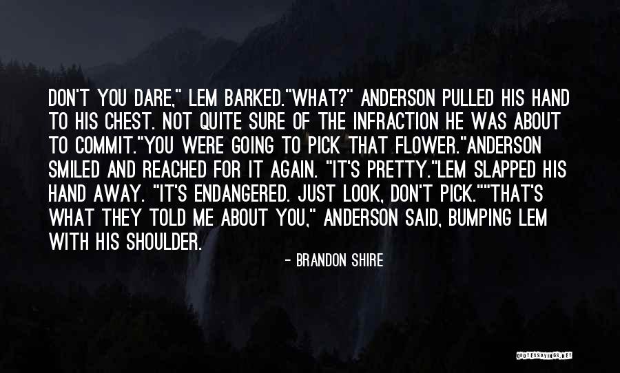Shelena Simmons Quotes By Brandon Shire