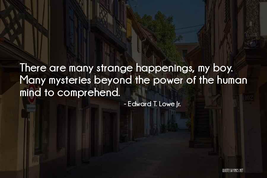 Shelia Jones Quotes By Edward T. Lowe Jr. Shelia Jones Quotes By Edward T. Lowe Jr.