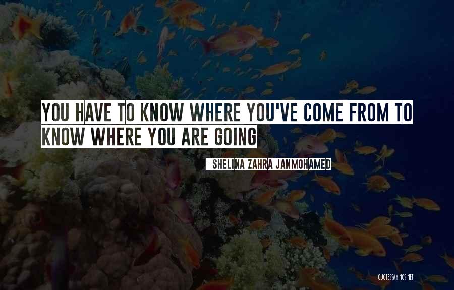 Shelina Zahra Janmohamed Quotes 816954 Shelina Zahra Janmohamed Quotes 816954