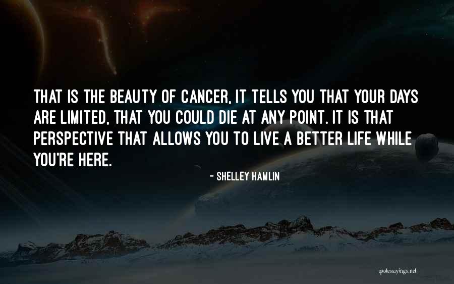 Shelley Hamlin Quotes 1825259 Shelley Hamlin Quotes 1825259