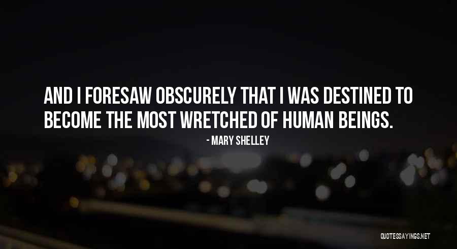 Shelley Mary Quotes By Mary Shelley