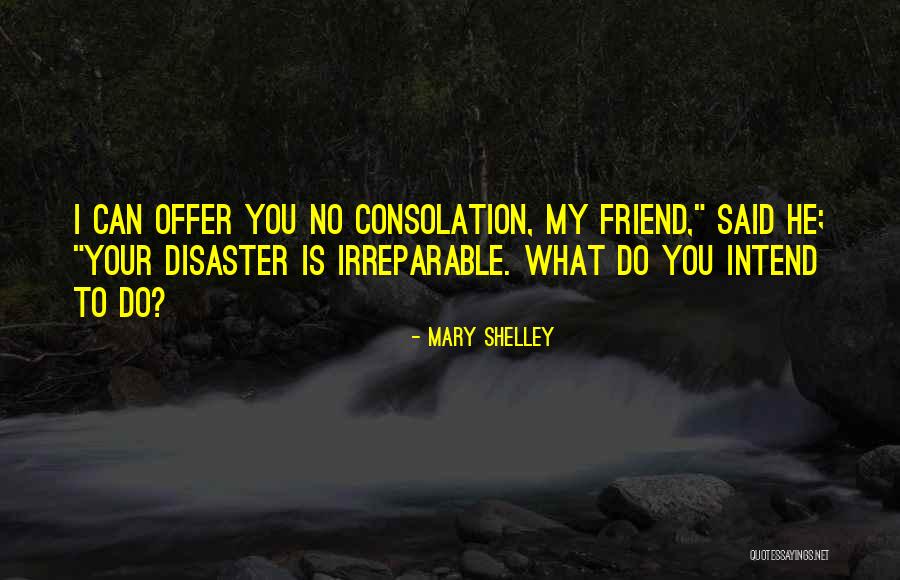 Shelley Mary Quotes By Mary Shelley