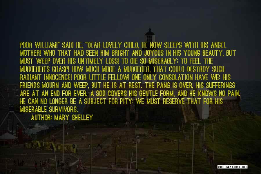 Shelley's Quotes By Mary Shelley