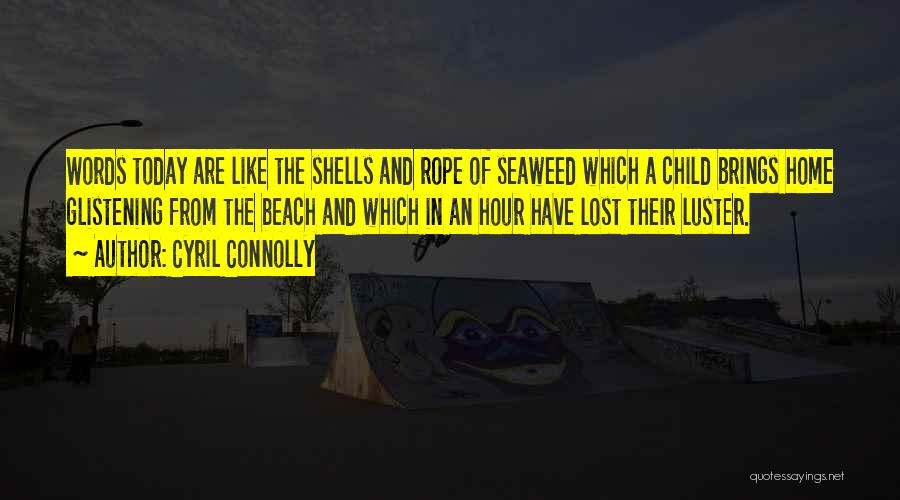 Shells On The Beach Quotes By Cyril Connolly