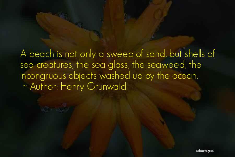 Shells On The Beach Quotes By Henry Grunwald