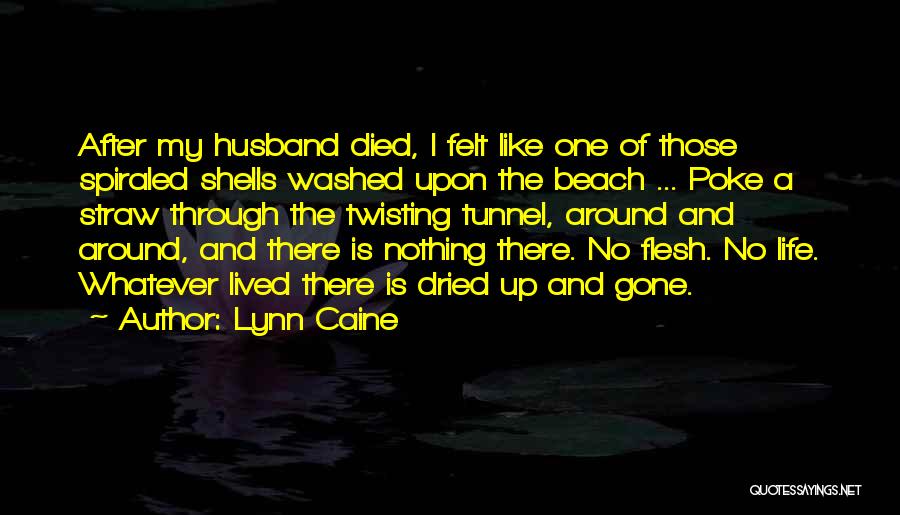 Shells On The Beach Quotes By Lynn Caine