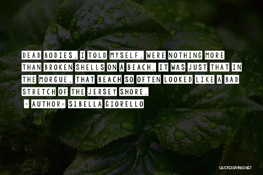 Shells On The Beach Quotes By Sibella Giorello