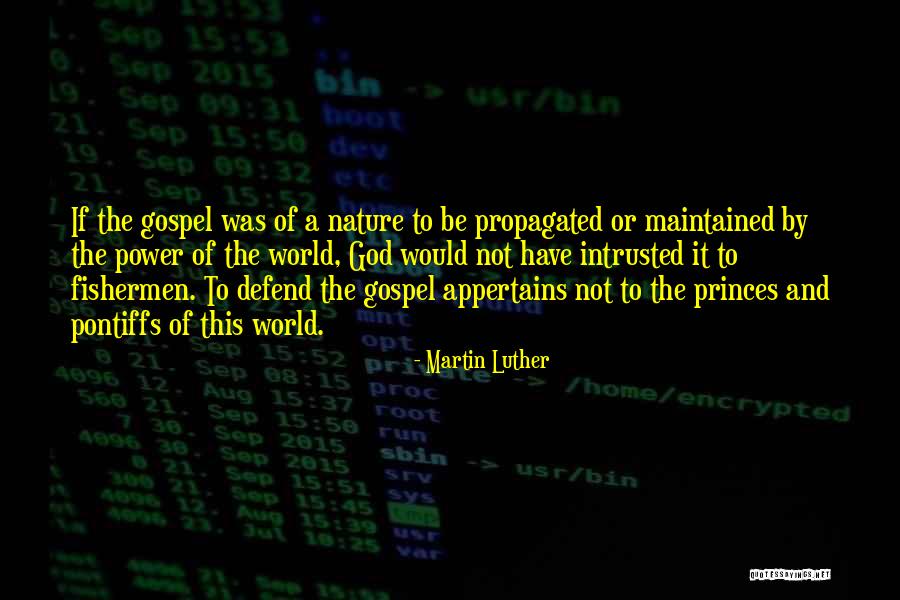 Shelomit Quotes By Martin Luther Shelomit Quotes By Martin Luther