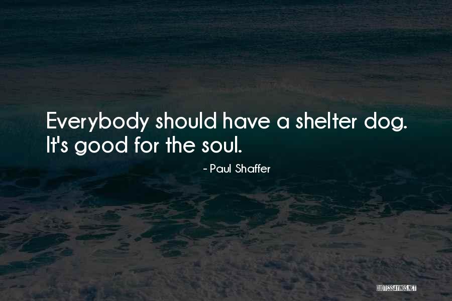 Shelter Dog Quotes By Paul Shaffer Shelter Dog Quotes By Paul Shaffer