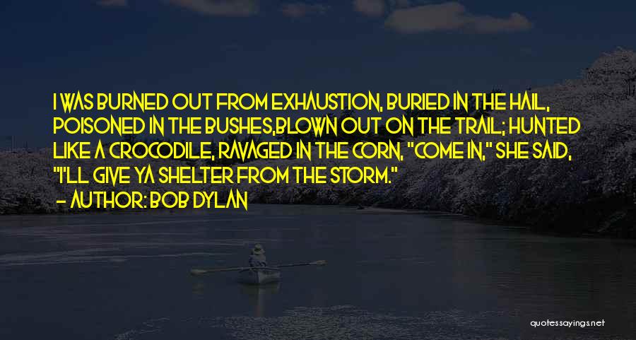 Shelter From The Storm Quotes By Bob Dylan
