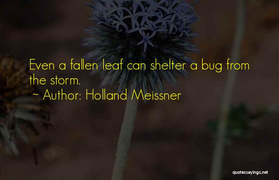 Shelter From The Storm Quotes By Holland Meissner