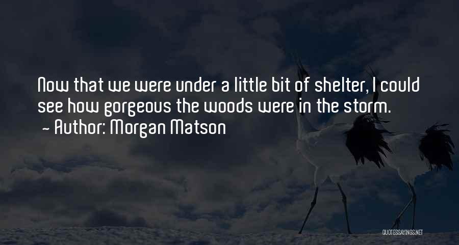 Shelter From The Storm Quotes By Morgan Matson