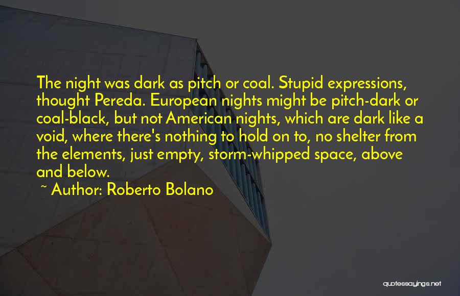 Shelter From The Storm Quotes By Roberto Bolano