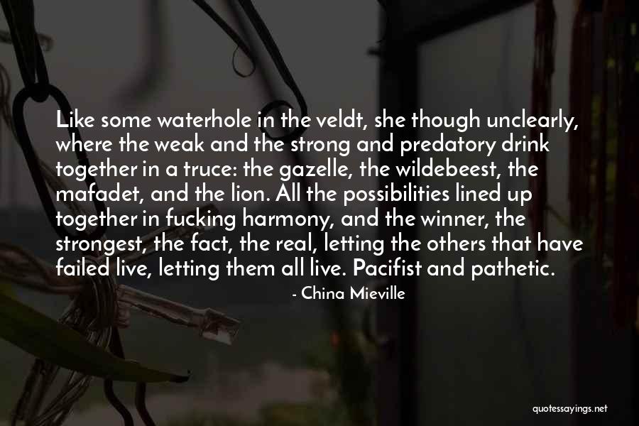 Shelter Me Joncas Quotes By China Mieville Shelter Me Joncas Quotes By China Mieville