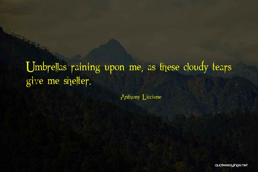 Shelter Me Quotes By Anthony Liccione Shelter Me Quotes By Anthony Liccione