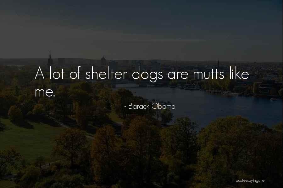 Shelter Me Quotes By Barack Obama Shelter Me Quotes By Barack Obama